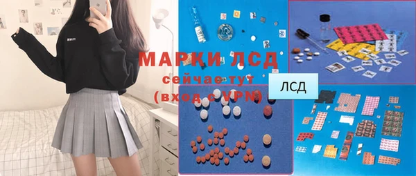 шишки Аркадак