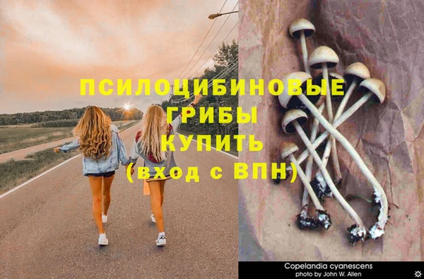 ГАЛЛЮЦИНОГЕННЫЕ ГРИБЫ Армянск