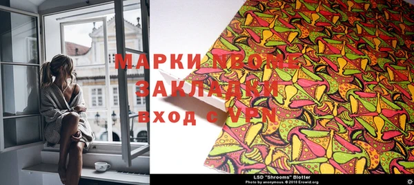 шишки Аркадак