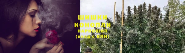 шишки Аркадак