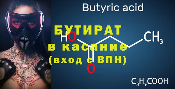 шишки Аркадак