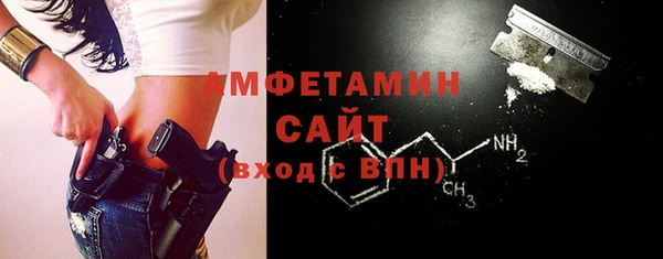 шишки Аркадак