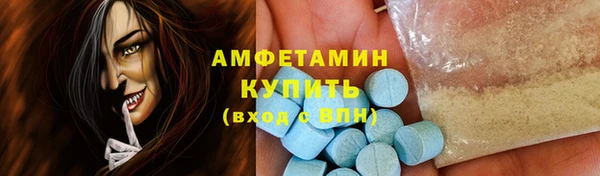 шишки Аркадак