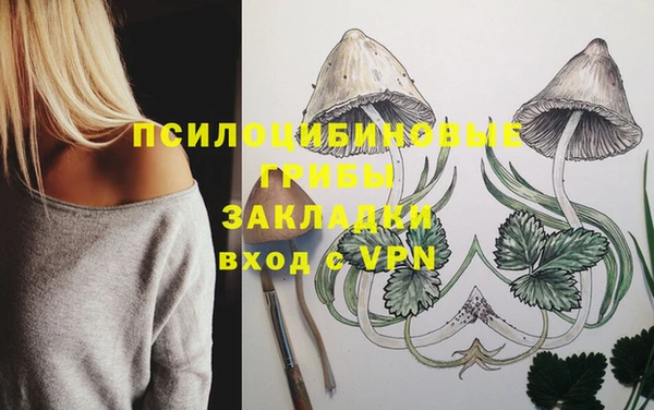 ГАЛЛЮЦИНОГЕННЫЕ ГРИБЫ Армянск
