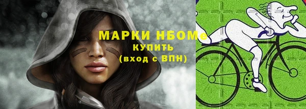 шишки Аркадак