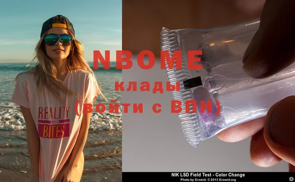 шишки Аркадак